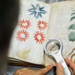 レス1番のリンク先のサムネイル画像