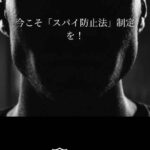 レス13番の画像1