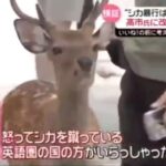 レス1番の画像3