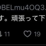 レス1番の画像3