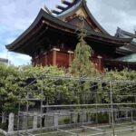 レス43番の画像1