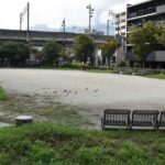 レス1番のリンク先のサムネイル画像