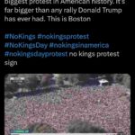 レス4番の画像1