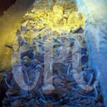 レス31番の画像1