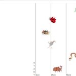 レス1番の画像5