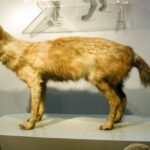 レス4番の画像1