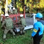 レス1番のリンク先のサムネイル画像