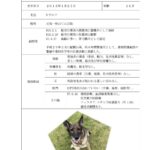 レス2番の画像3