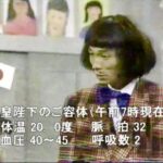 レス15番の画像1