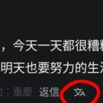 レス9番の画像1