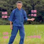 レス1番の画像2