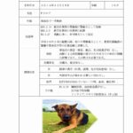 レス2番の画像2