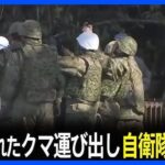 レス1番の画像4