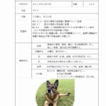 レス2番の画像4