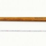 レス8番の画像1