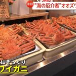 レス1番のリンク先のサムネイル画像