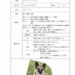 レス2番の画像5