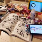 レス1番のリンク先のサムネイル画像