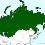 レス79番の画像2