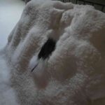 レス16番の画像1