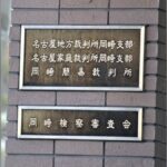 レス41番のリンク先のサムネイル画像