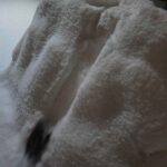 レス16番の画像2