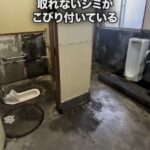 レス1番の画像5