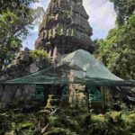 レス14番の画像1