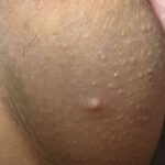 レス17番の画像1