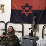 レス3番の画像1