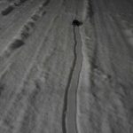 レス8番の画像1