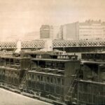 レス17番の画像1