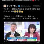 レス13番の画像1