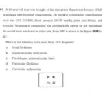 レス11番の画像1