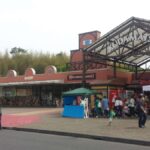 レス14番の画像5