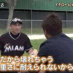 レス34番の画像4