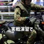 レス1番の画像2