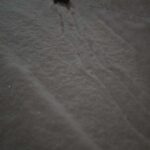 レス15番の画像1