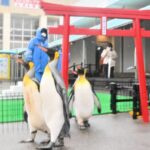 レス2番のリンク先のサムネイル画像