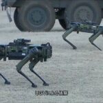 レス1番の画像2