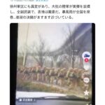 レス4番の画像1