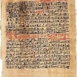 レス37番の画像1