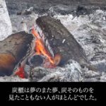 レス19番の画像1