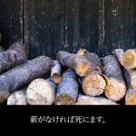 レス20番の画像9