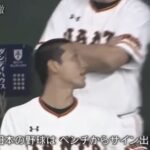 レス14番の画像6