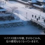 レス20番の画像5