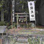 レス8番の画像4