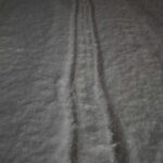 レス3番の画像2