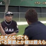 レス34番の画像3