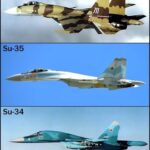 レス41番の画像1